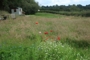 Little Idyll shepherds hut